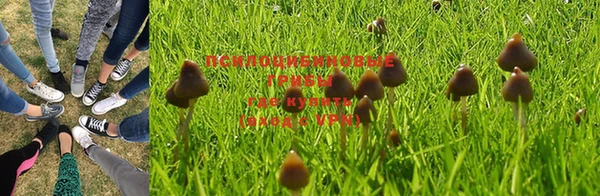 стаф Балабаново