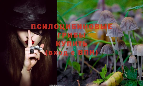 стаф Балабаново
