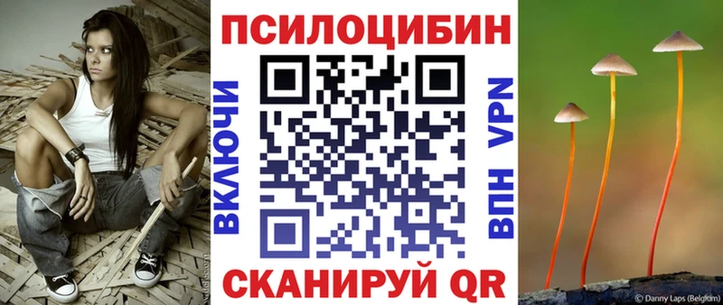 купить наркотики цена  Кувандык  Галлюциногенные грибы мицелий 