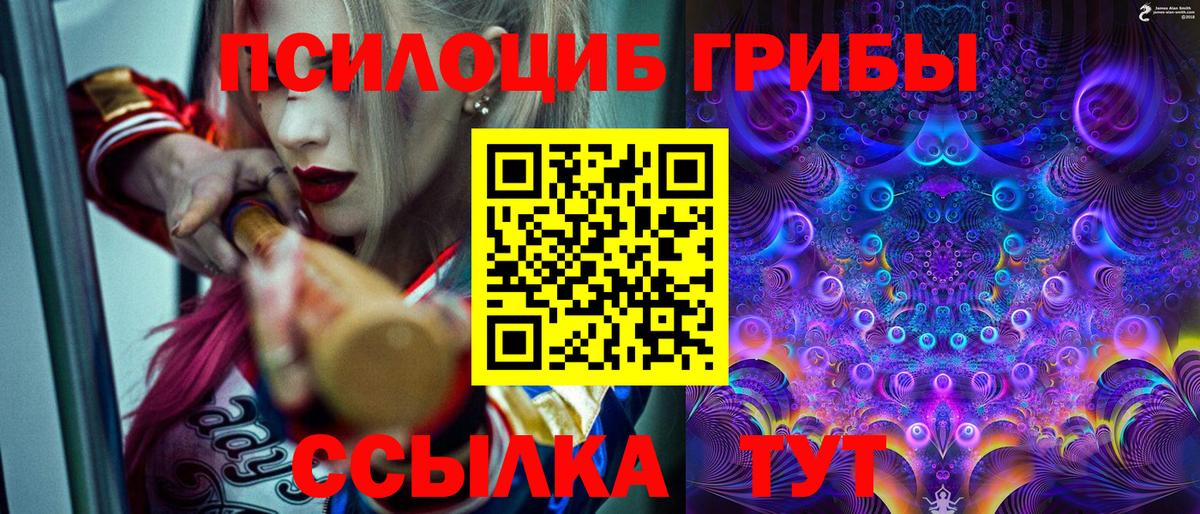 Кувандык  Галлюциногенные грибы MAGIC MUSHROOMS  Псилоцибиновые грибы Magic Shrooms  цена   Вход с VPN 